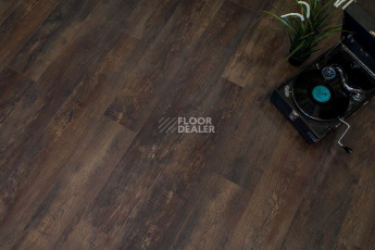 FF-1500 Wood FF-1585 Дуб Окленд фото 1 | FLOORDEALER